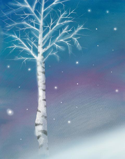 birch tree in the blue snowy night